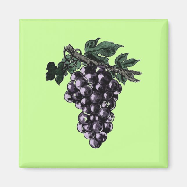 Druvvin Magnet (Framsidan)
