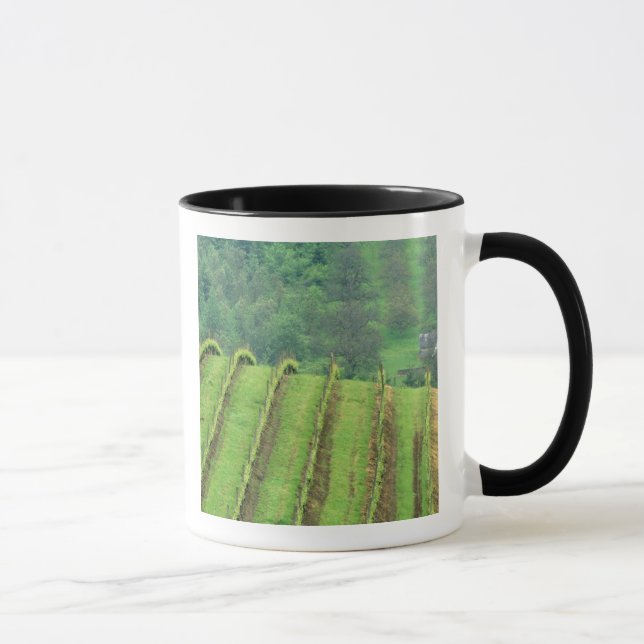 Druvvinodlingar nära Newberg Oregon Mugg (Höger)