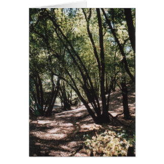 Dry Bäck Road Hälsningskort