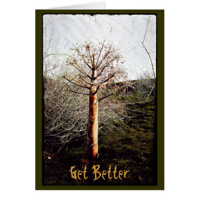 Dry Ferula Plant Hälsningskort (Framsidan)