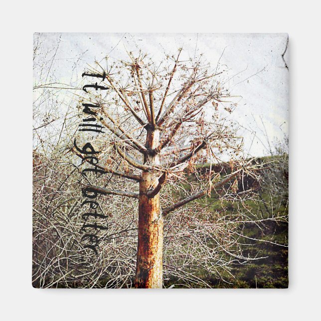 Dry Ferula Plant Magnet (Framsidan)