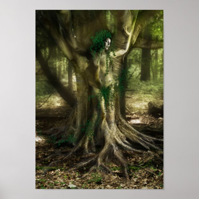 Dryad Poster (Framsidan)