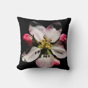 DS Solros eller Apple Blommar tp arc3 Kudde