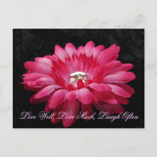 DSC00005 (2), Lev, Kärlek Mycket, Laugh Often Vykort