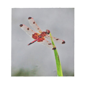 DSC00029.JPG ANTECKNINGSBLOCK