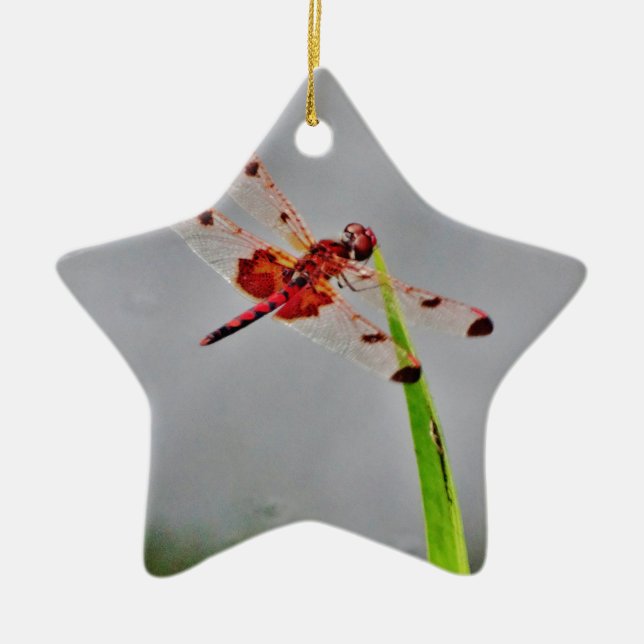 DSC00029.JPG JULGRANSPRYDNAD KERAMIK (Framsidan)