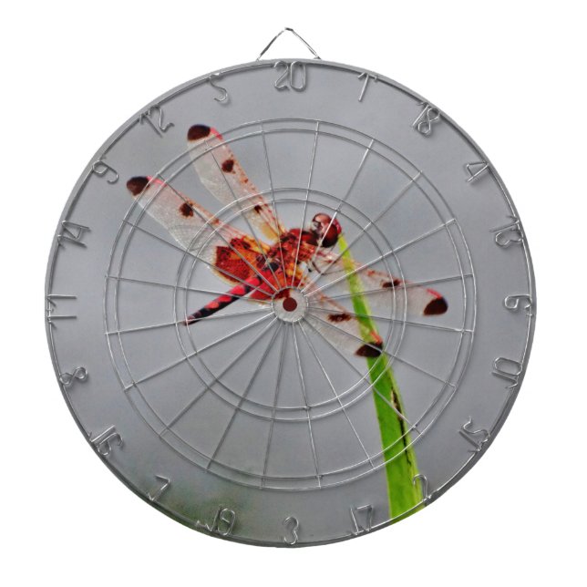 DSC00029.JPG PILTAVLA (Framsidan)