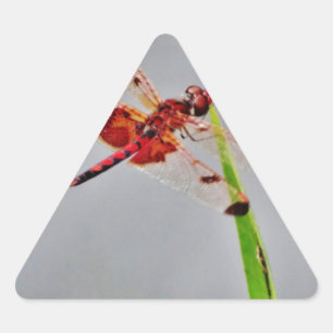 DSC00029.JPG TRIANGELFORMAT KLISTERMÄRKE