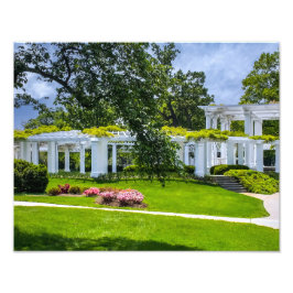 DSC00070-2-Arlington House Garden Fototryck