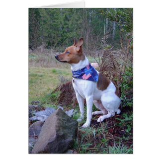 DSC00088 Råtta hund Rick OBS Kort