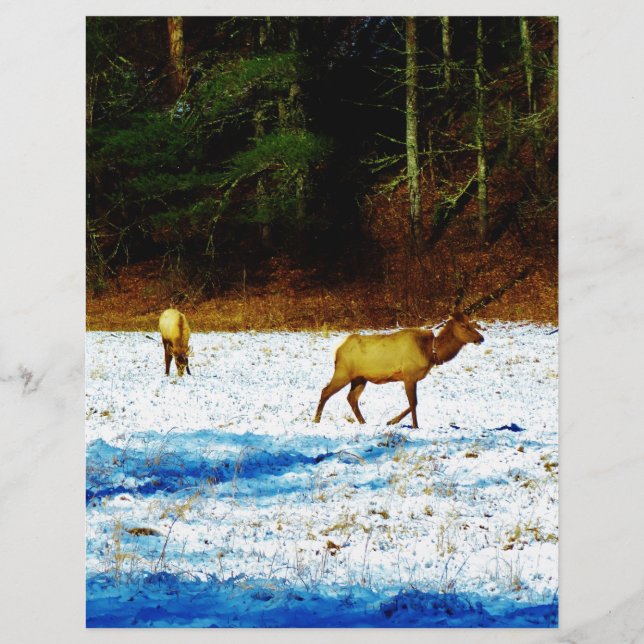 DSC00131.JPG (Framsida)