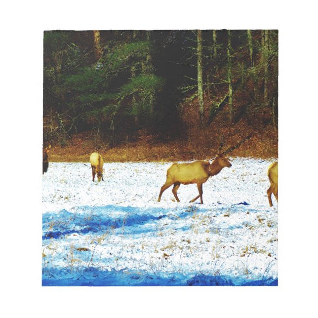 DSC00131.JPG ANTECKNINGSBLOCK (Framsida)