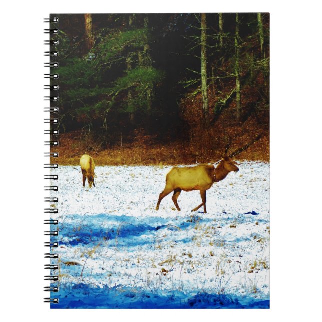 DSC00131.JPG ANTECKNINGSBOK MED SPIRAL (Framsidan)