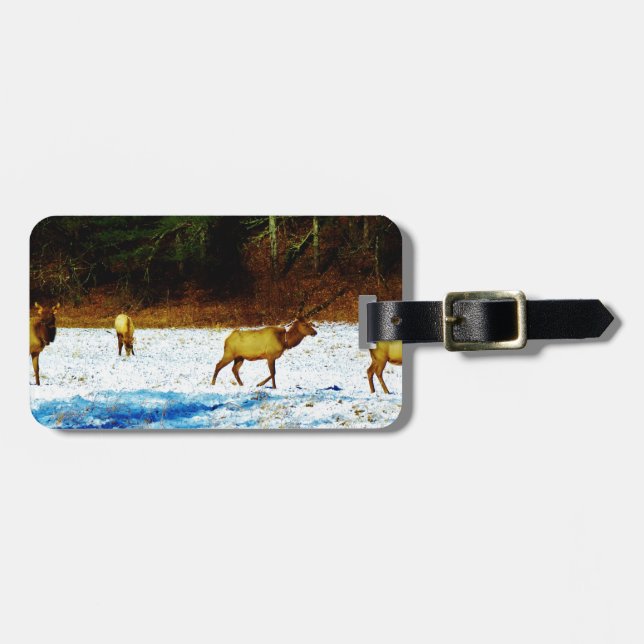 DSC00131.JPG BAGAGEBRICKA (Horisontell Framsida)