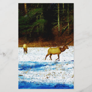 DSC00131.JPG BREVPAPPER