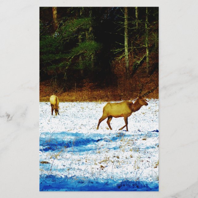 DSC00131.JPG BREVPAPPER (Framsida)