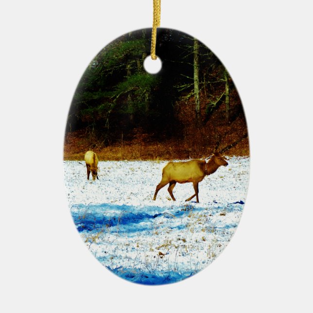 DSC00131.JPG JULGRANSPRYDNAD KERAMIK (Framsidan)