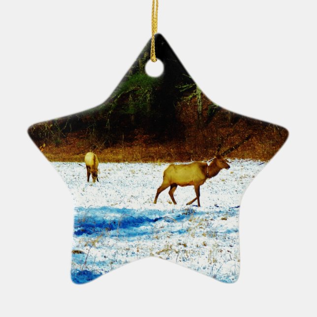 DSC00131.JPG JULGRANSPRYDNAD KERAMIK (Framsidan)