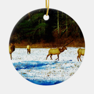 DSC00131.JPG JULGRANSPRYDNAD KERAMIK