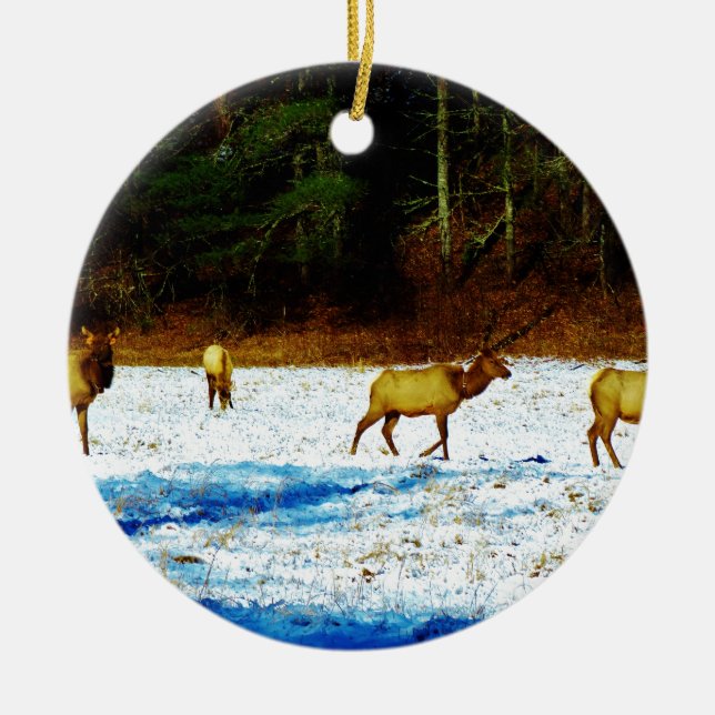 DSC00131.JPG JULGRANSPRYDNAD KERAMIK (Framsidan)