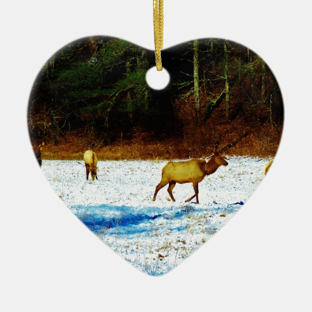 DSC00131.JPG JULGRANSPRYDNAD KERAMIK (Framsidan)