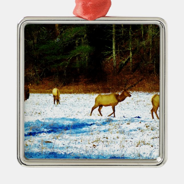 DSC00131.JPG JULGRANSPRYDNAD METALL (Framsidan)