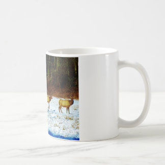 DSC00131.JPG KAFFEMUGG