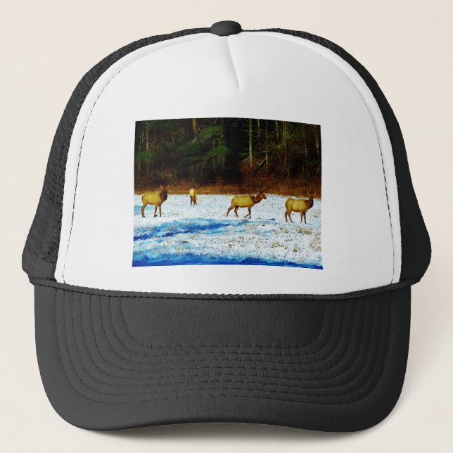 DSC00131.JPG KEPS (Framsida)