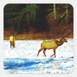 DSC00131.JPG KLISTERMÄRKE