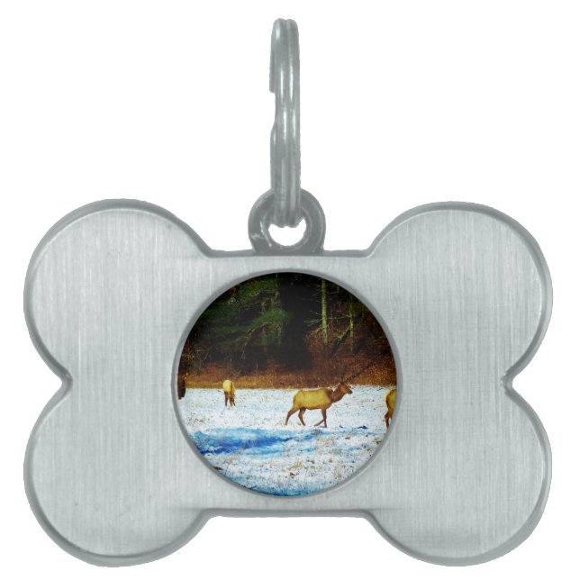 DSC00131.JPG NAMNBRICKA HUSDJUR (Framsidan)