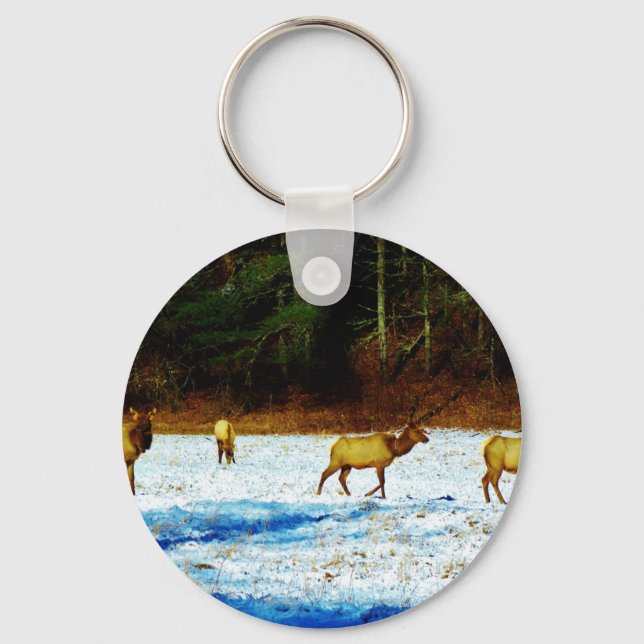 DSC00131.JPG NYCKELRING (Framsida)