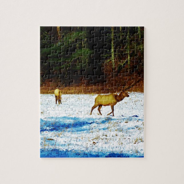 DSC00131.JPG PUSSEL (Vertikal)