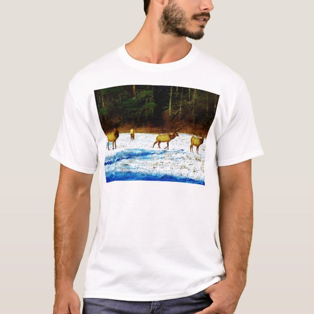 DSC00131.JPG T SHIRT (Framsida)