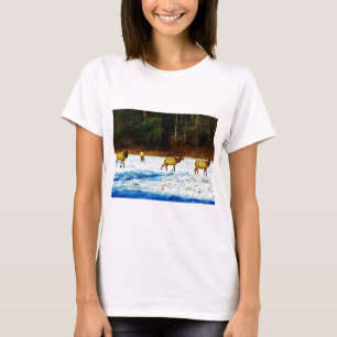 DSC00131.JPG T SHIRT