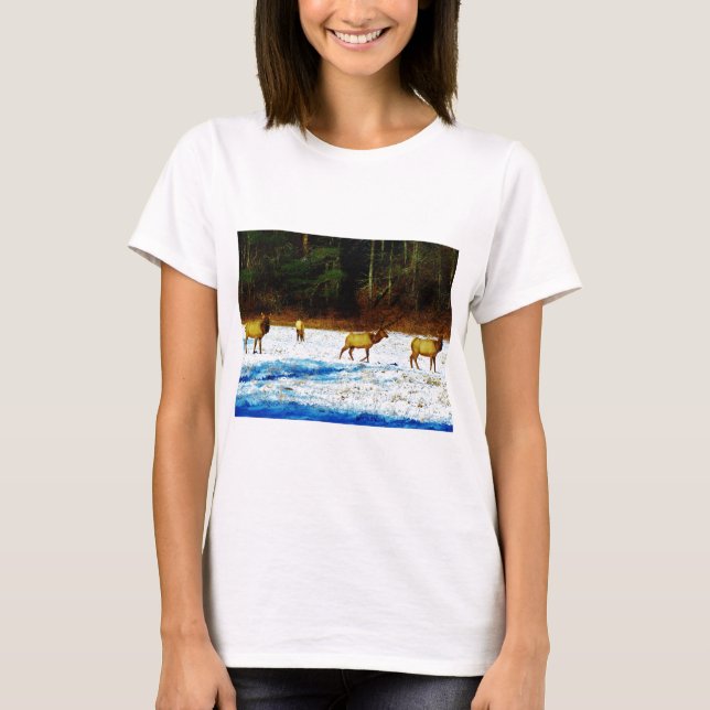 DSC00131.JPG T SHIRT (Framsida)