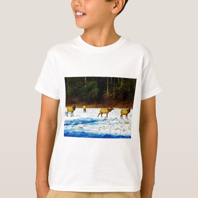 DSC00131.JPG T-SHIRT (Framsida)