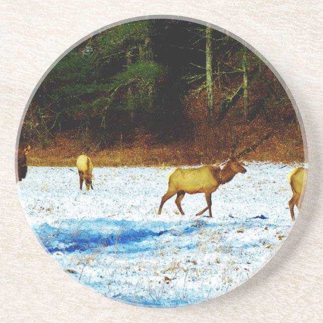 DSC00131.JPG UNDERLÄGG SANDSTEN (Framsidan)