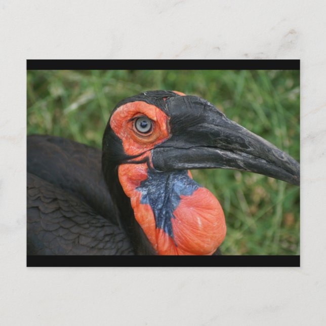 DSC00171 VYKORT (Framsida)