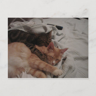 dsc00178[1] (2) vykort