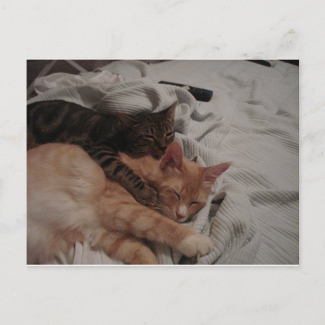 dsc00178[1] (2) vykort (Framsida)