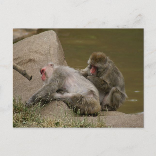 DSC00342 VYKORT (Framsida)