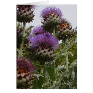 DSC01112 HÄLSNINGSKORT