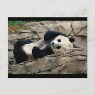 DSC01647 a Vykort