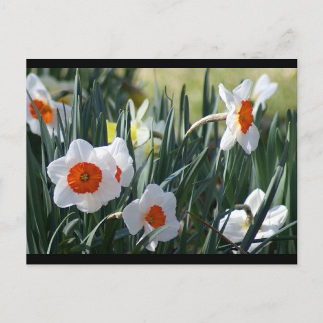 DSC01730 a Vykort (Framsida)