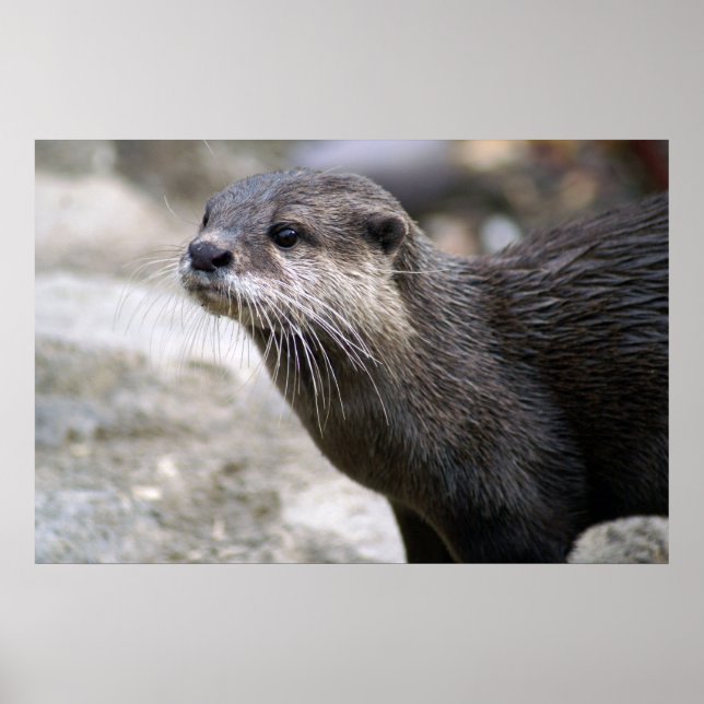 DSC01768 POSTER (Framsidan)