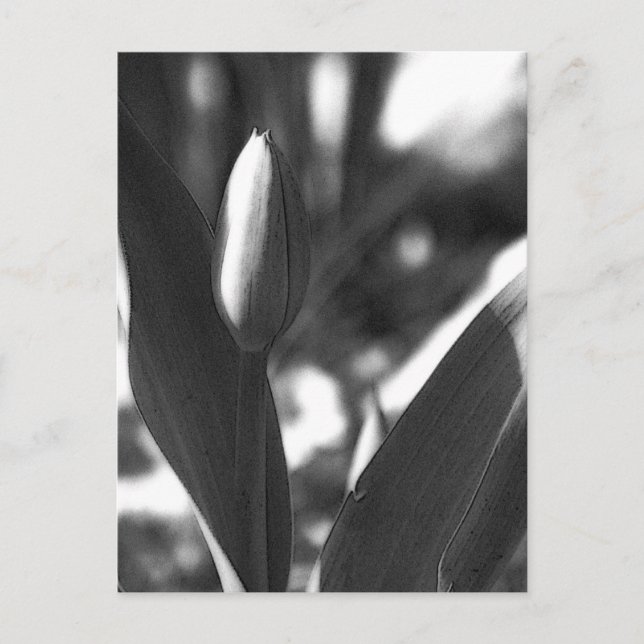 DSC02422 c Vykort (Framsida)