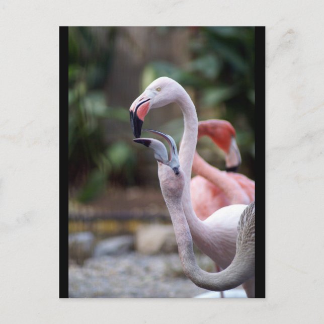 DSC02490 VYKORT (Framsida)