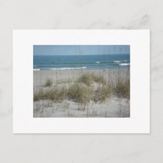 DSC04194, Cocoa Beach, FLPhoto av Julie.B.Carter Vykort