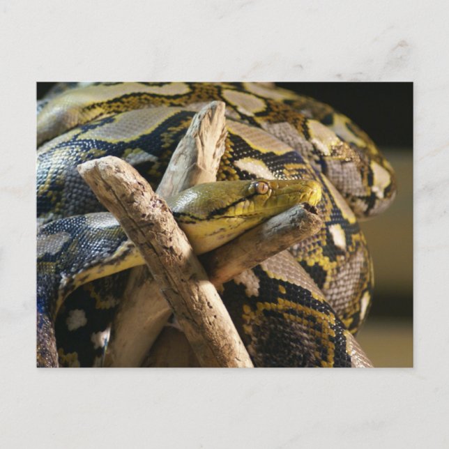 DSC04222 VYKORT (Framsida)