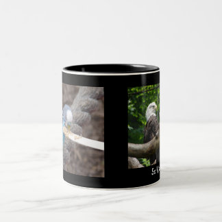 DSC04582 DSC04495, Sallys mugg